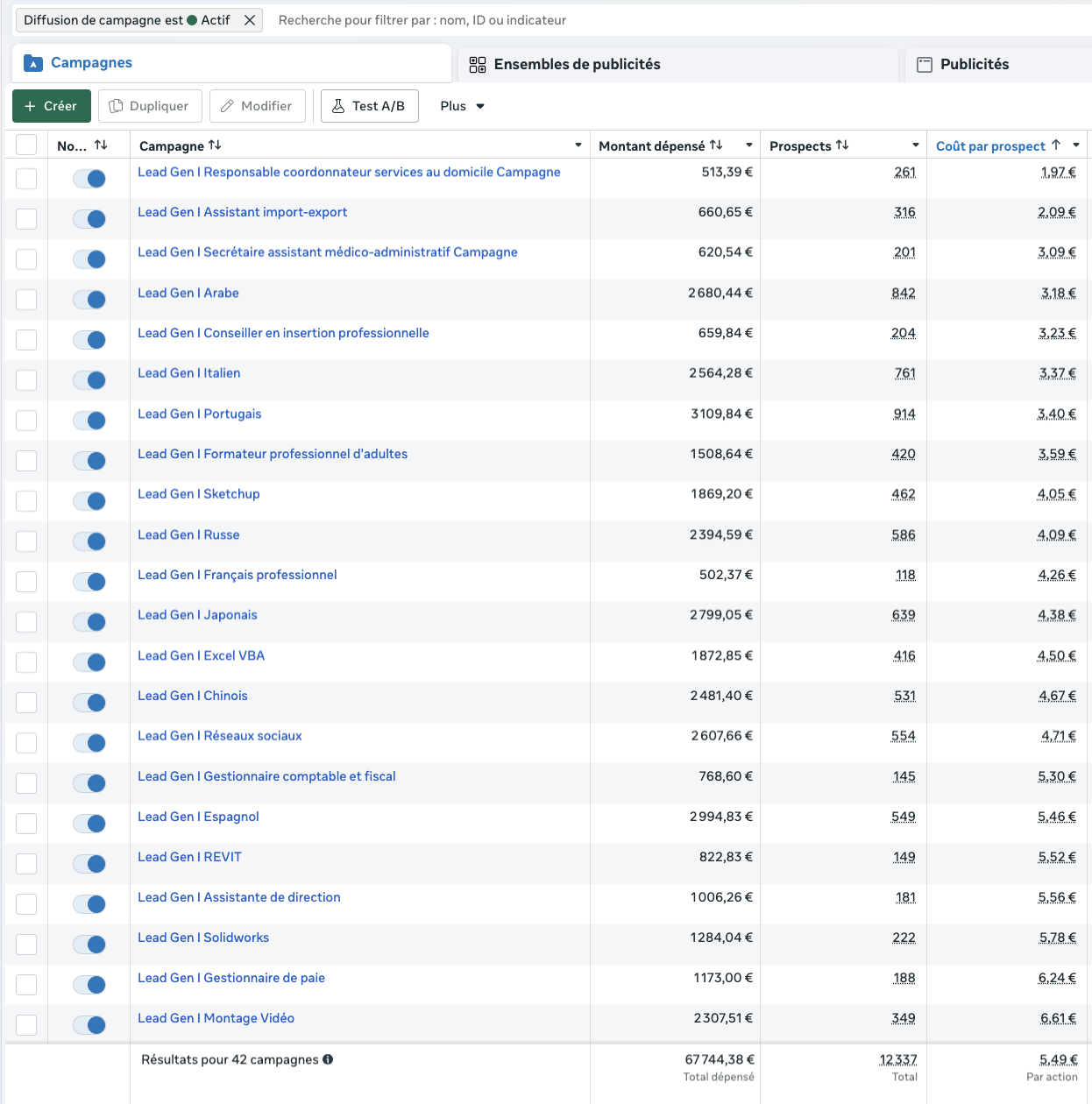Capture anonymisée montrant les campagnes de génération de leads et leurs coûts par prospect pour le client formation.
